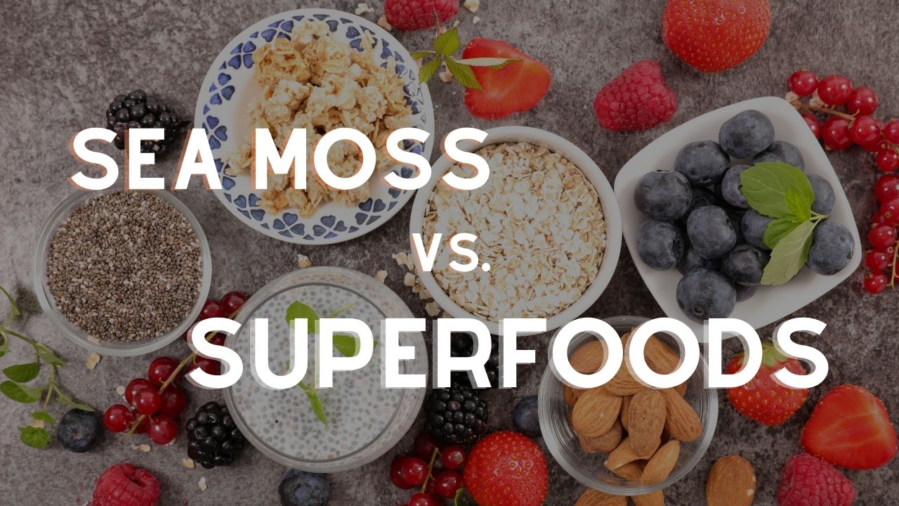What is sea moss? A guide to the viral superfood